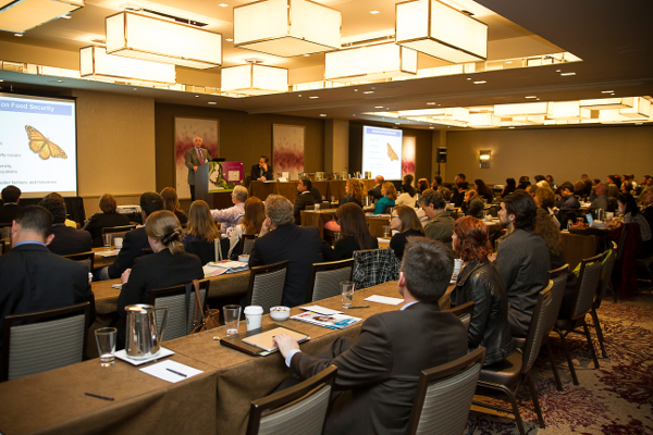 Photograph - Training session